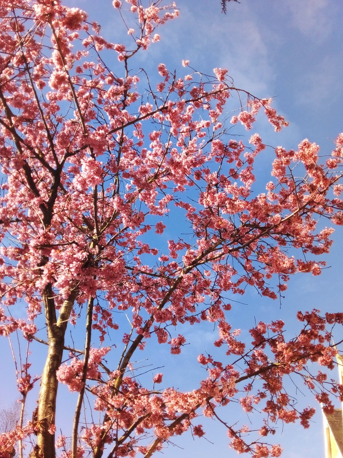 wp-16959748968181892778005014280395