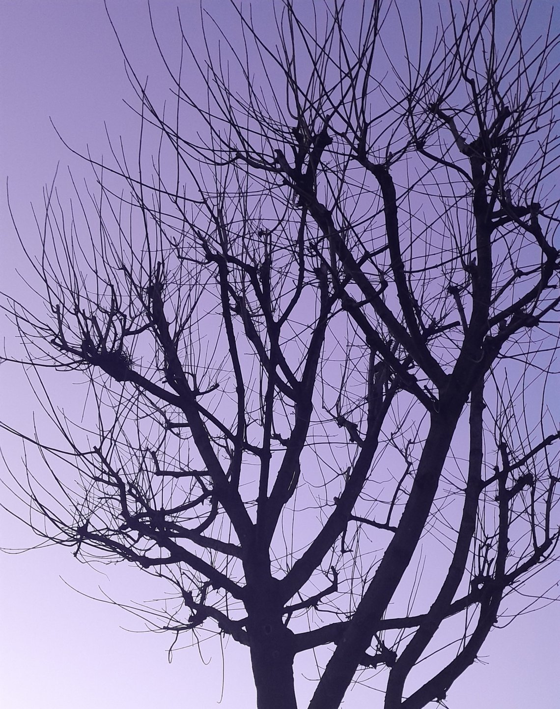 wp-16959748987233507260136225610591