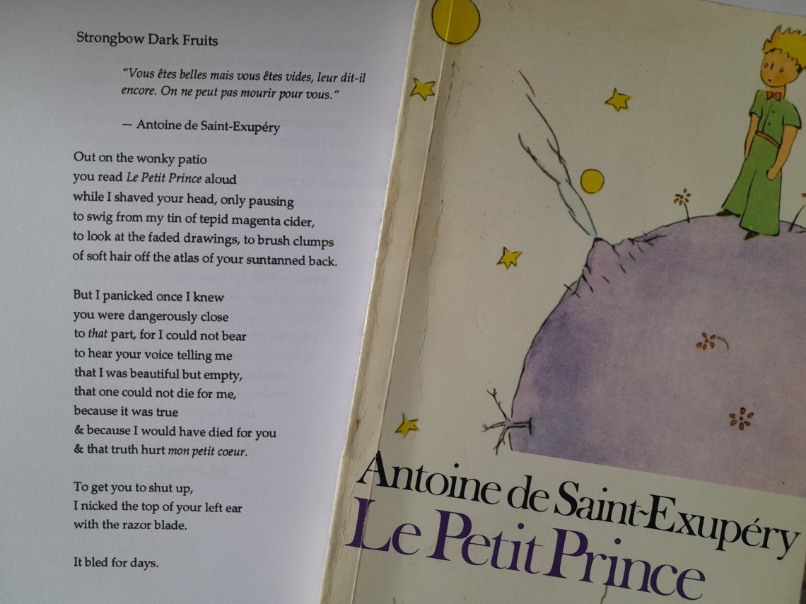 wp-16959749003718670483408738819700